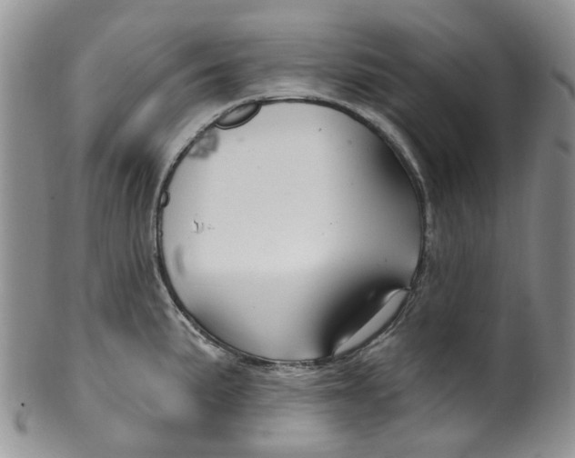 X0000099501191200806051115