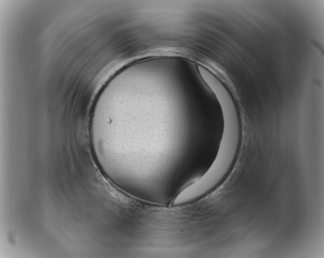 X0000099501192200806051115