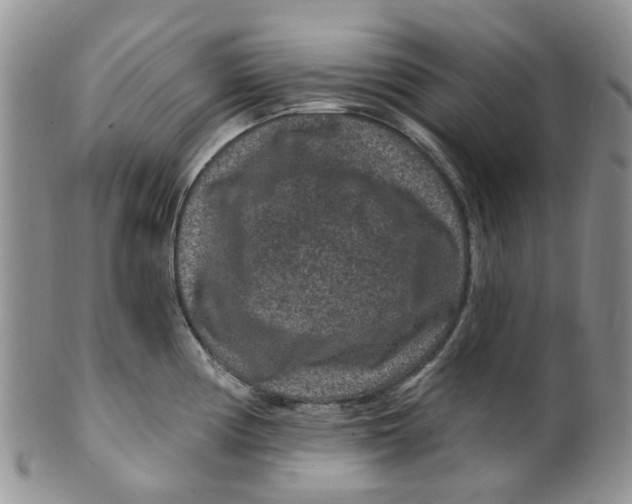 X0000099501194200806051115