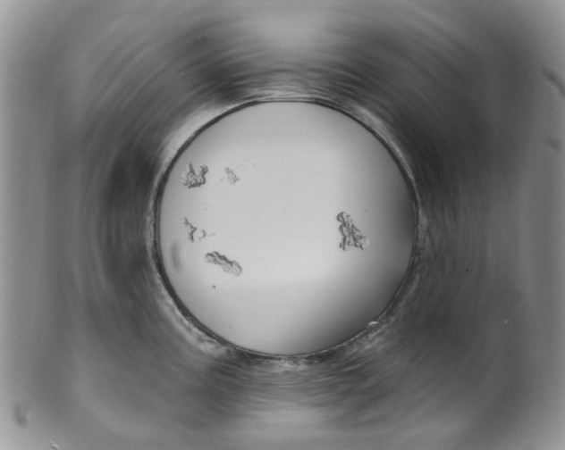 X0000099501195200806051115