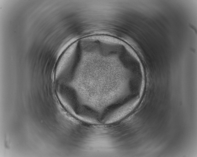 X0000099501198200806051115