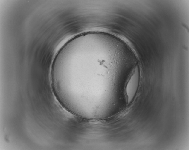 X0000099501199200806051115