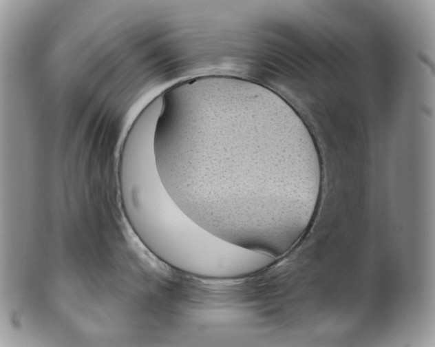 X0000099501200200806051115