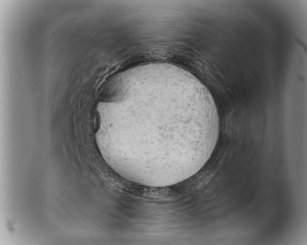 X0000099501201200806051114