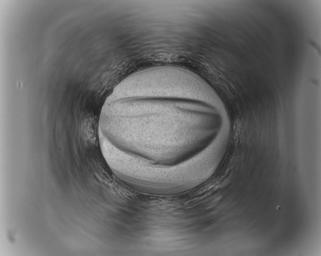 X0000099501202200806051114