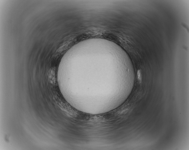 X0000099501203200806051114