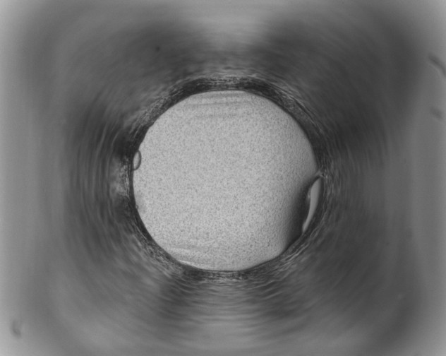 X0000099501204200806051114