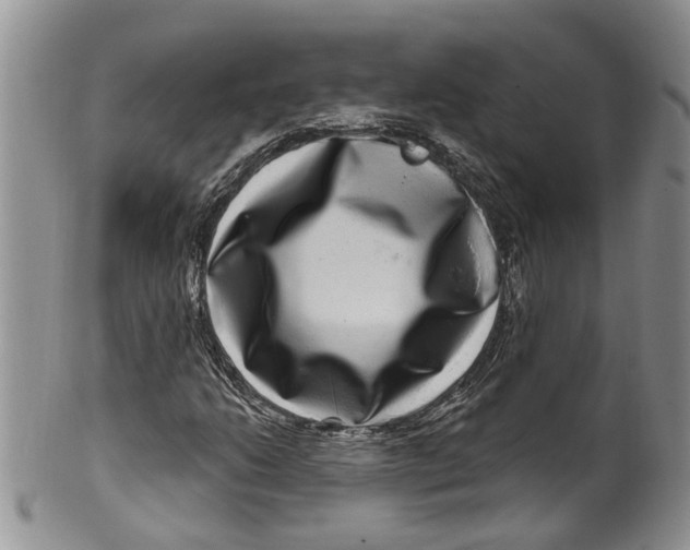 X0000099501206200806051114