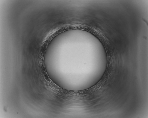 X0000099501207200806051114