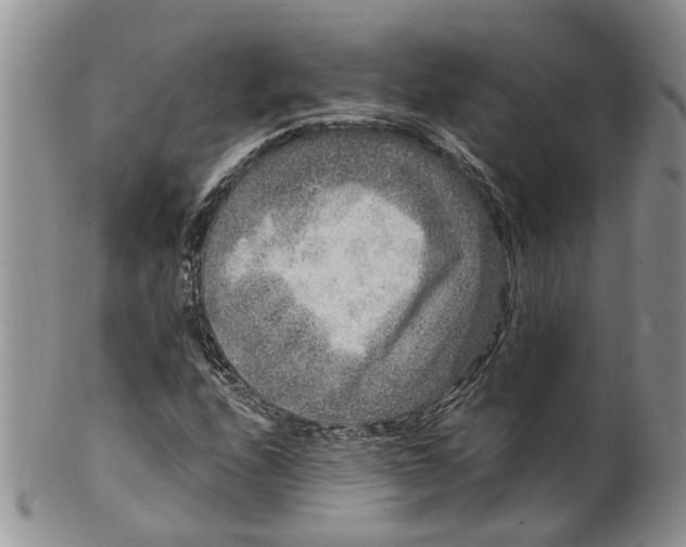 X0000099501208200806051114