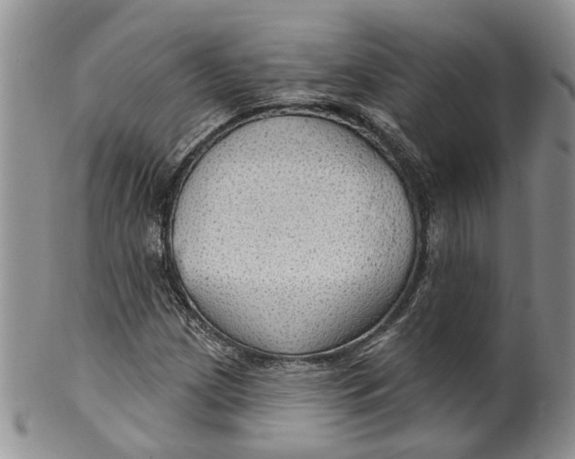 X0000099501209200806051114