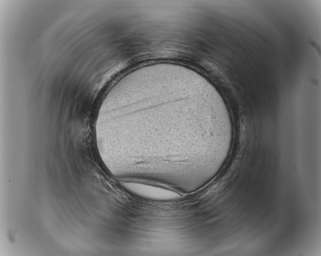 X0000099501210200806051114