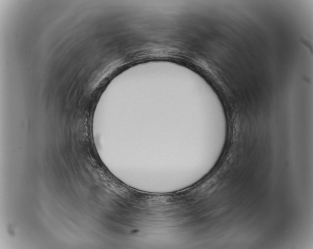 X0000099501211200806051114