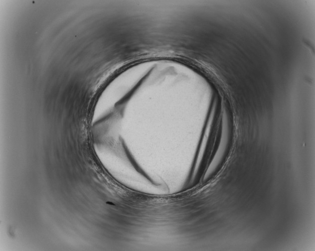 X0000099501212200806051114