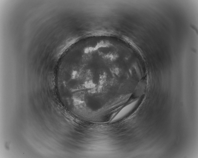 X0000099501213200806051114