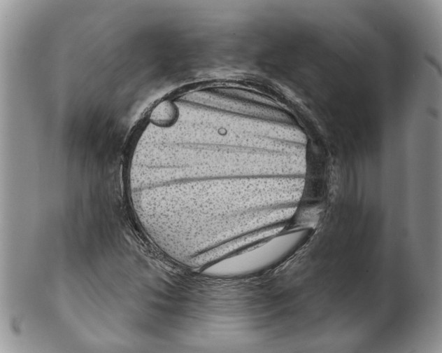 X0000099501214200806051114