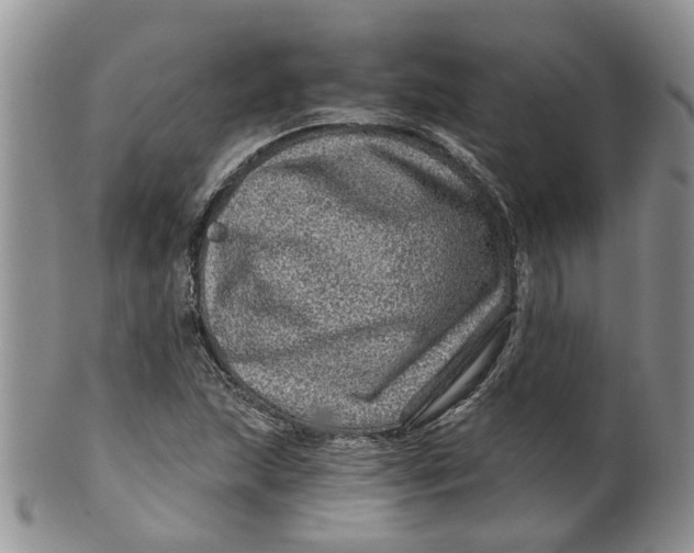 X0000099501215200806051114