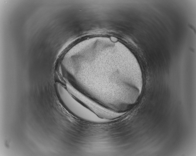 X0000099501216200806051114