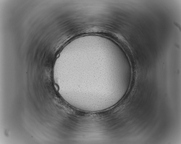 X0000099501217200806051114