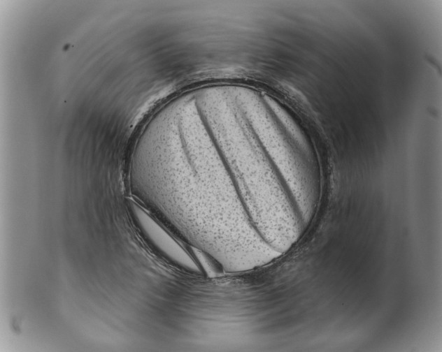 X0000099501218200806051114