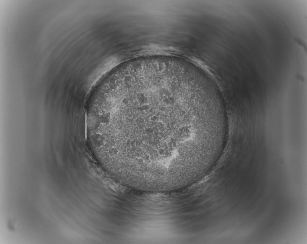 X0000099501219200806051114