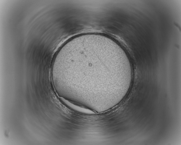 X0000099501220200806051114