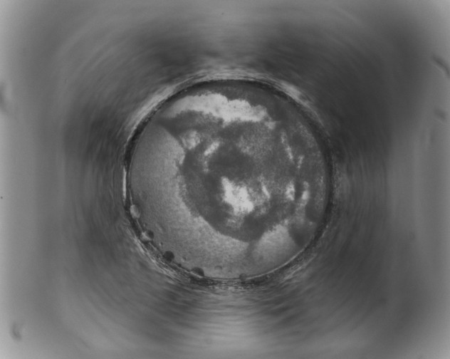 X0000099501221200806051114