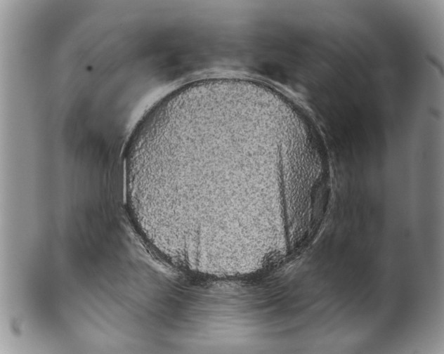 X0000099501223200806051114