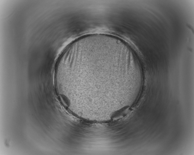 X0000099501224200806051115