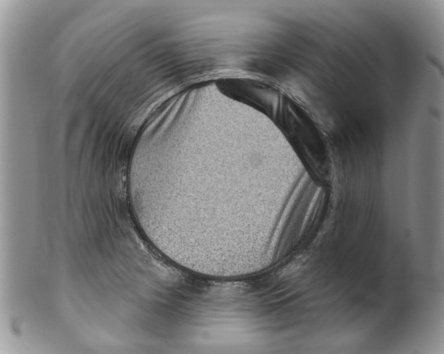 X0000099501225200806051115