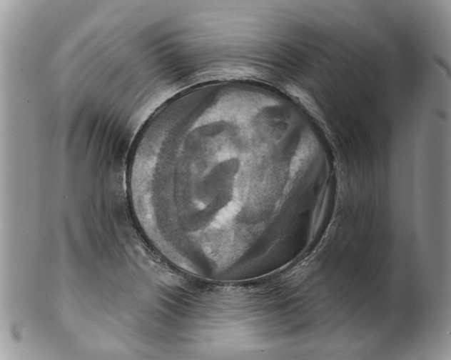 X0000099501226200806051115