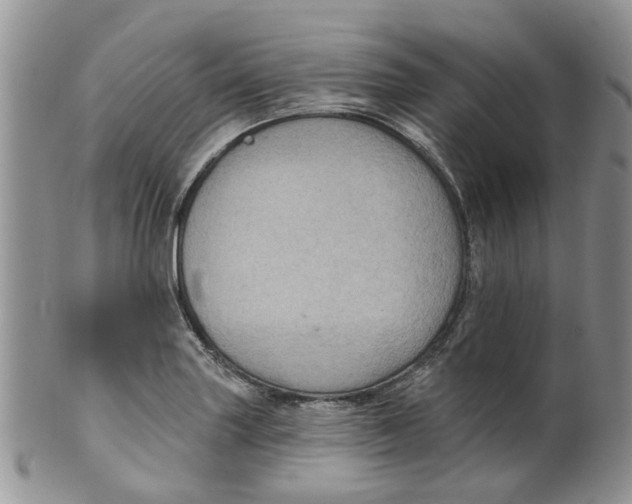 X0000099501227200806051115