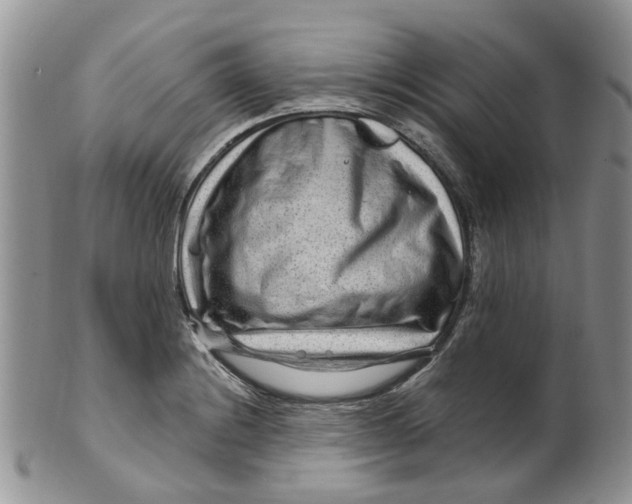 X0000099501228200806051115