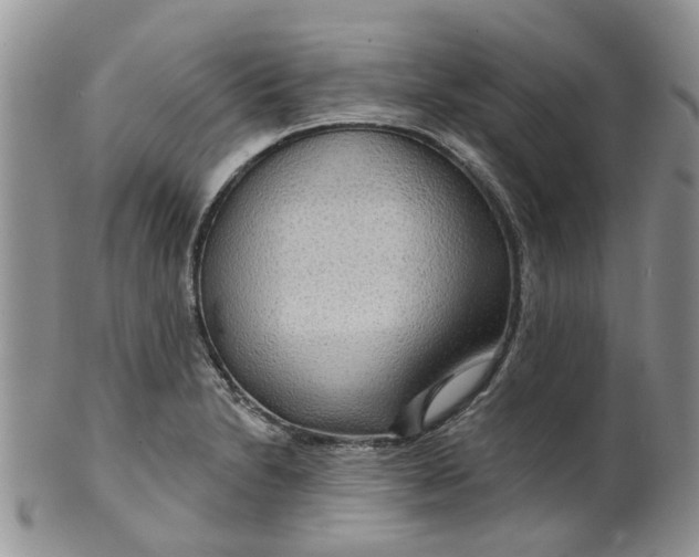 X0000099501230200806051115