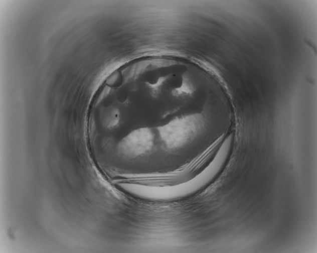 X0000099501231200806051115