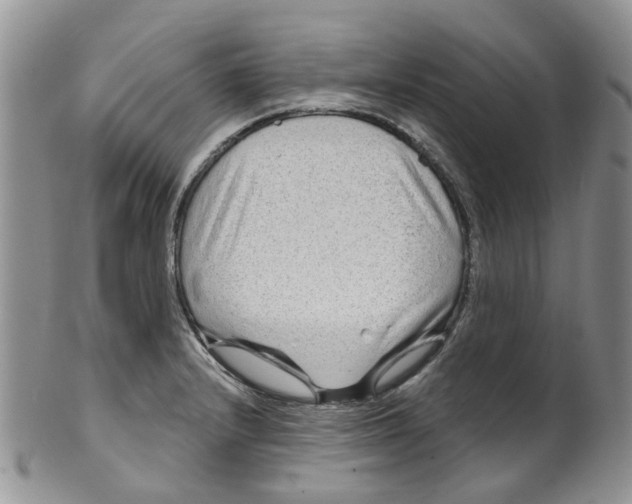 X0000099501232200806051115