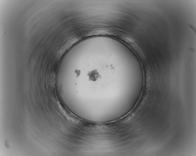 X0000099501233200806051115