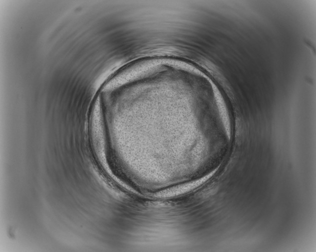 X0000099501234200806051115