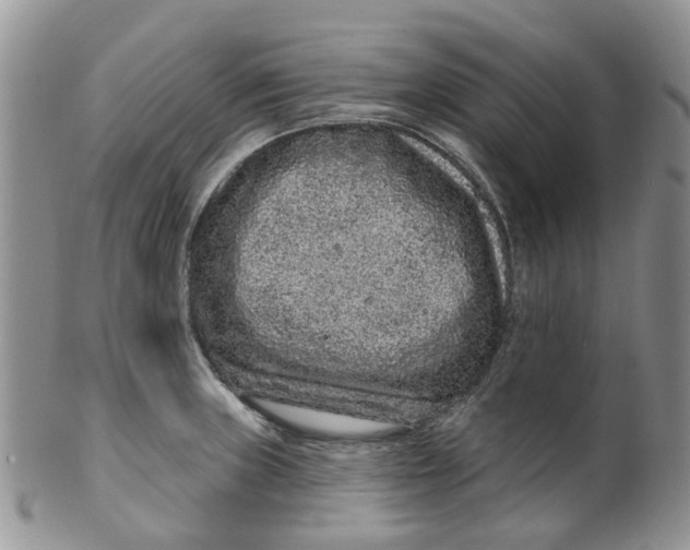 X0000099501235200806051115