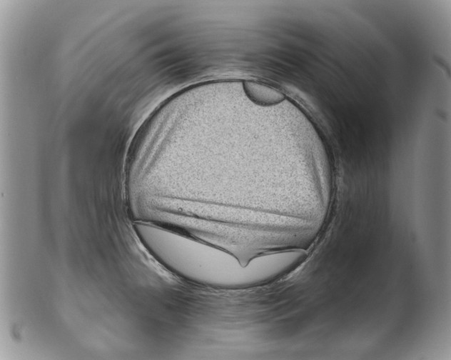 X0000099501236200806051115