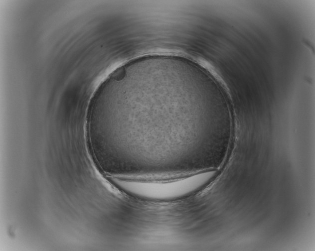 X0000099501237200806051115