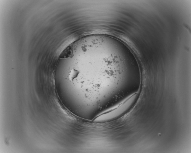 X0000099501241200806051115