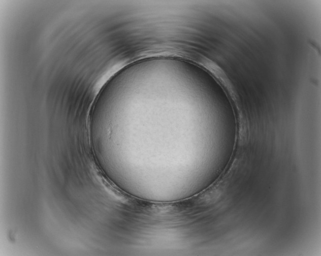 X0000099501242200806051115