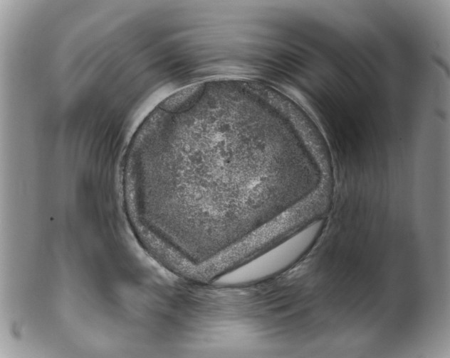 X0000099501243200806051115