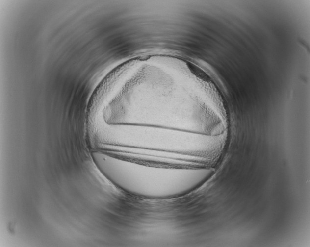 X0000099501244200806051115