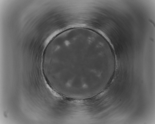 X0000099501245200806051115