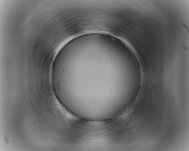 X0000099501246200806051115