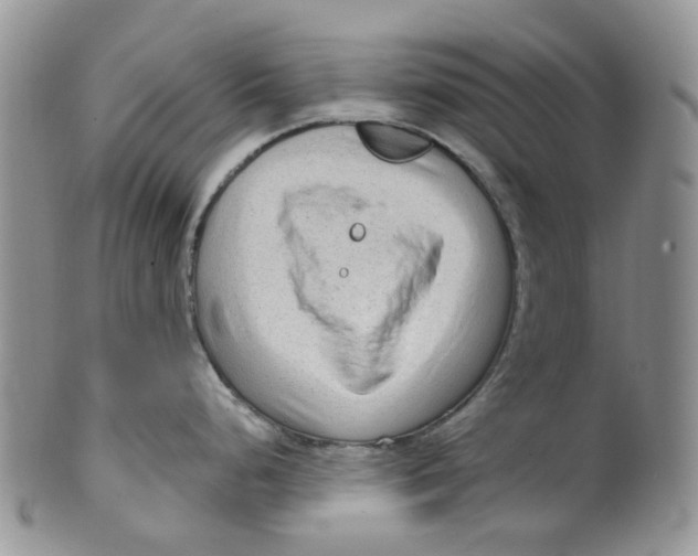 X0000099501248200806051115