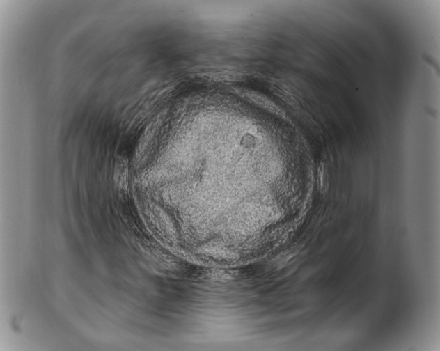 X0000099501251200806051114