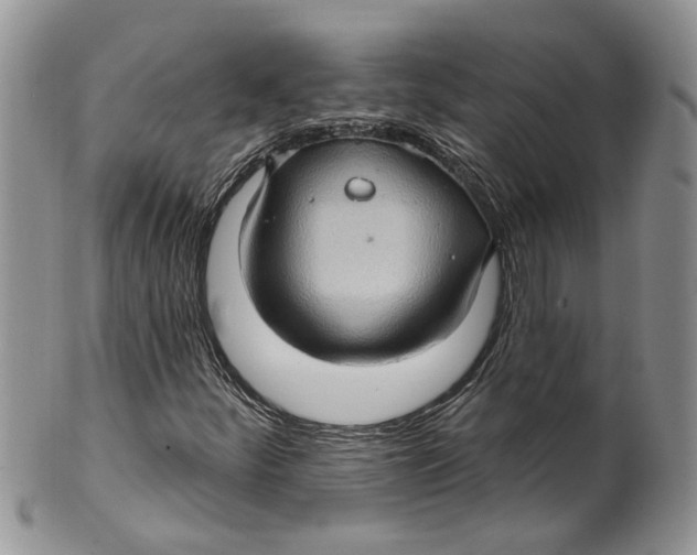 X0000099501252200806051114